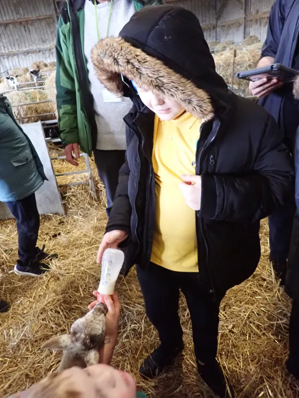 Yellow Class Trip to Woolmers' Farm 2026 - image 5