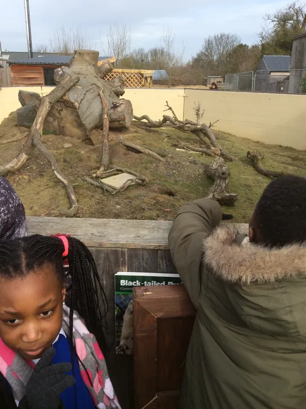 Gallery - created at 2024-02-29 15:51:05 - image 1 Gallery - created at 2024-02-29 15:51:05 - image 1