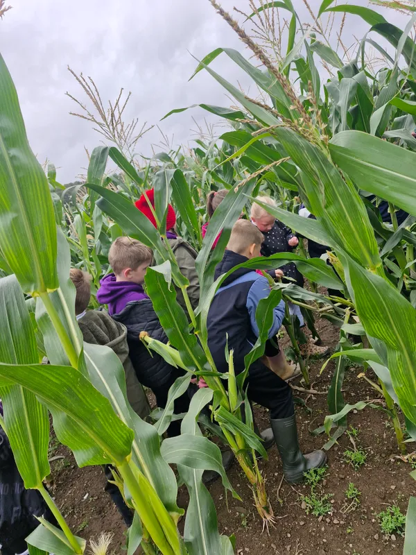 Gallery - created at 2024-10-02 11:38:57 - image 9 Gallery - created at 2024-10-02 11:38:57 - image 9