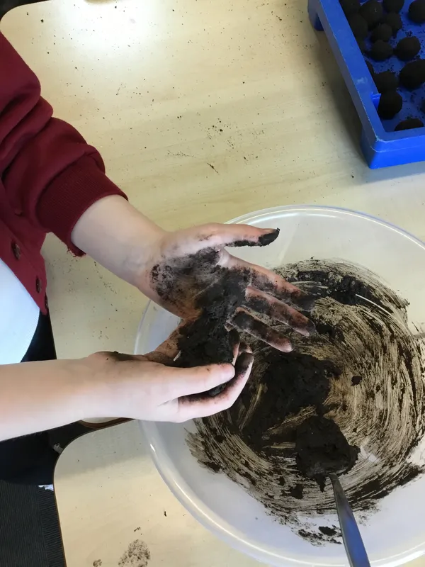 See our work in progress in this gallery! - image 21