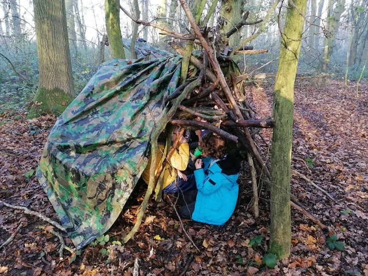 Gallery 2 - image 14