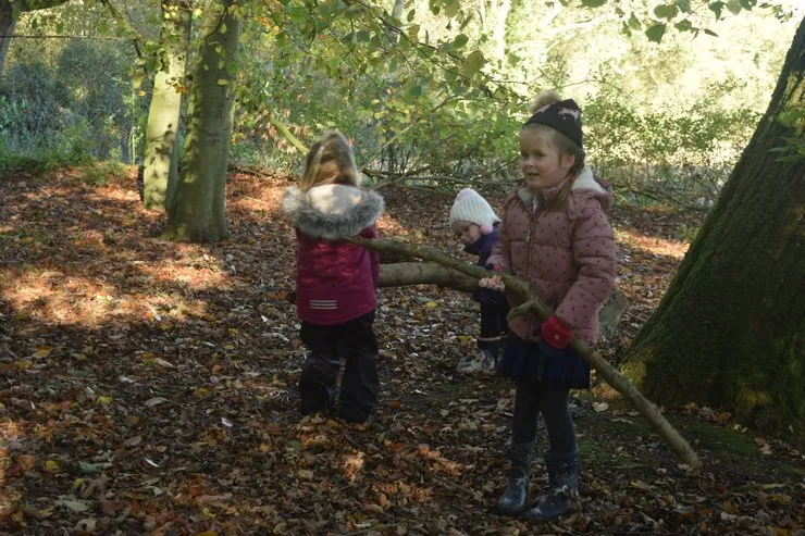 Gallery 4 - image 11