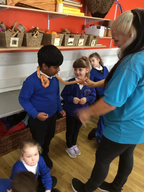 Gallery - created at 2024-02-26 17:15:57 - image 99 Gallery - created at 2024-02-26 17:15:57 - image 99