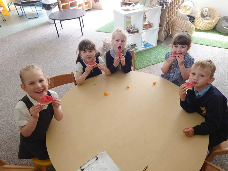 The Very Hungry Caterpillar Fruit Tasting - image 3 The Very Hungry Caterpillar Fruit Tasting - image 3