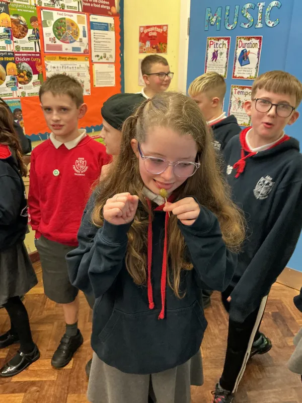 Ballymoney Baptist Church - The Amazing Journey - image 79