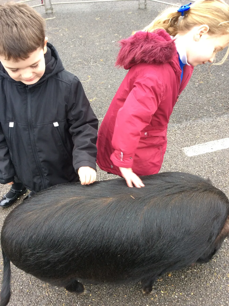 Gallery - created at 2023-03-03 16:33:51 - image 8