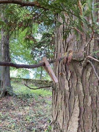 Autumn 2022 - September 14th - Acorns - Magic Corridor (objects and their materials) and Magic Pots (properties of materials) - image 2 Autumn 2022 - September 14th - Acorns - Magic Corridor (objects and their materials) and Magic Pots (properties of materials) - image 2