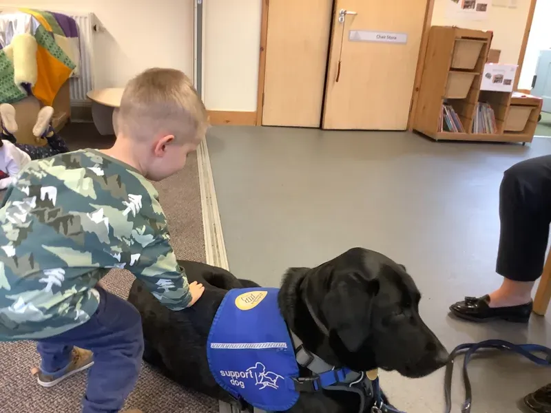 ANS - Support Dog Visit - image 1 ANS - Support Dog Visit - image 1