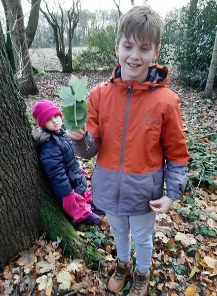 Gallery 7 - image 39