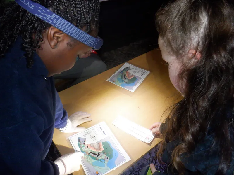 Gallery - created at 2025-02-25 21:38:38 - image 2