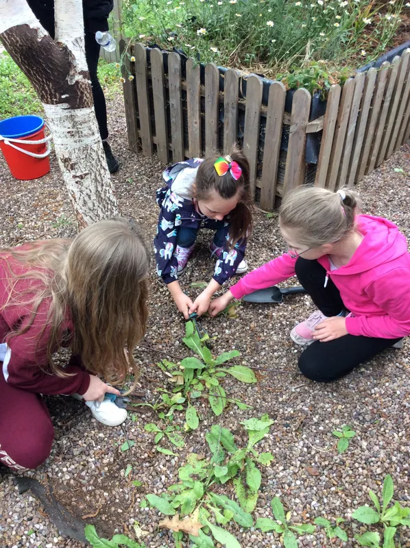 Gallery - image 7 Gallery - image 7