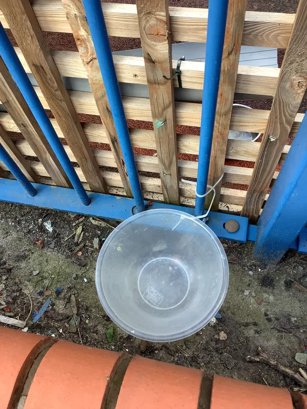 Gallery - created at 2025-10-04 06:13:36 - image 3 Gallery - created at 2025-10-04 06:13:36 - image 3