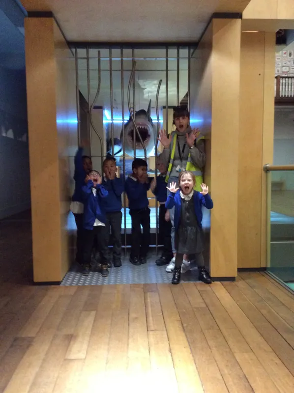 Gallery - created at 2024-02-09 11:53:37 - image 37