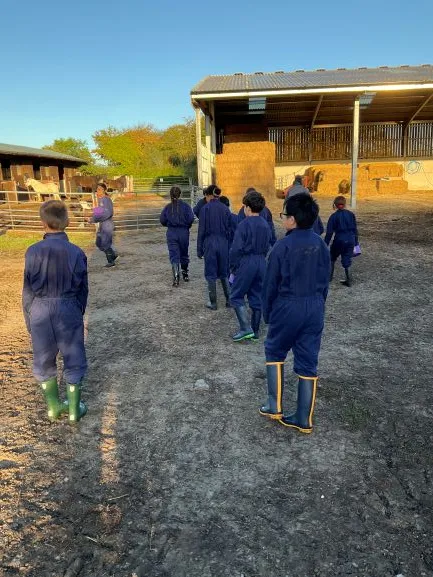 Farm Trip 25 - Gallery 2 - image 33