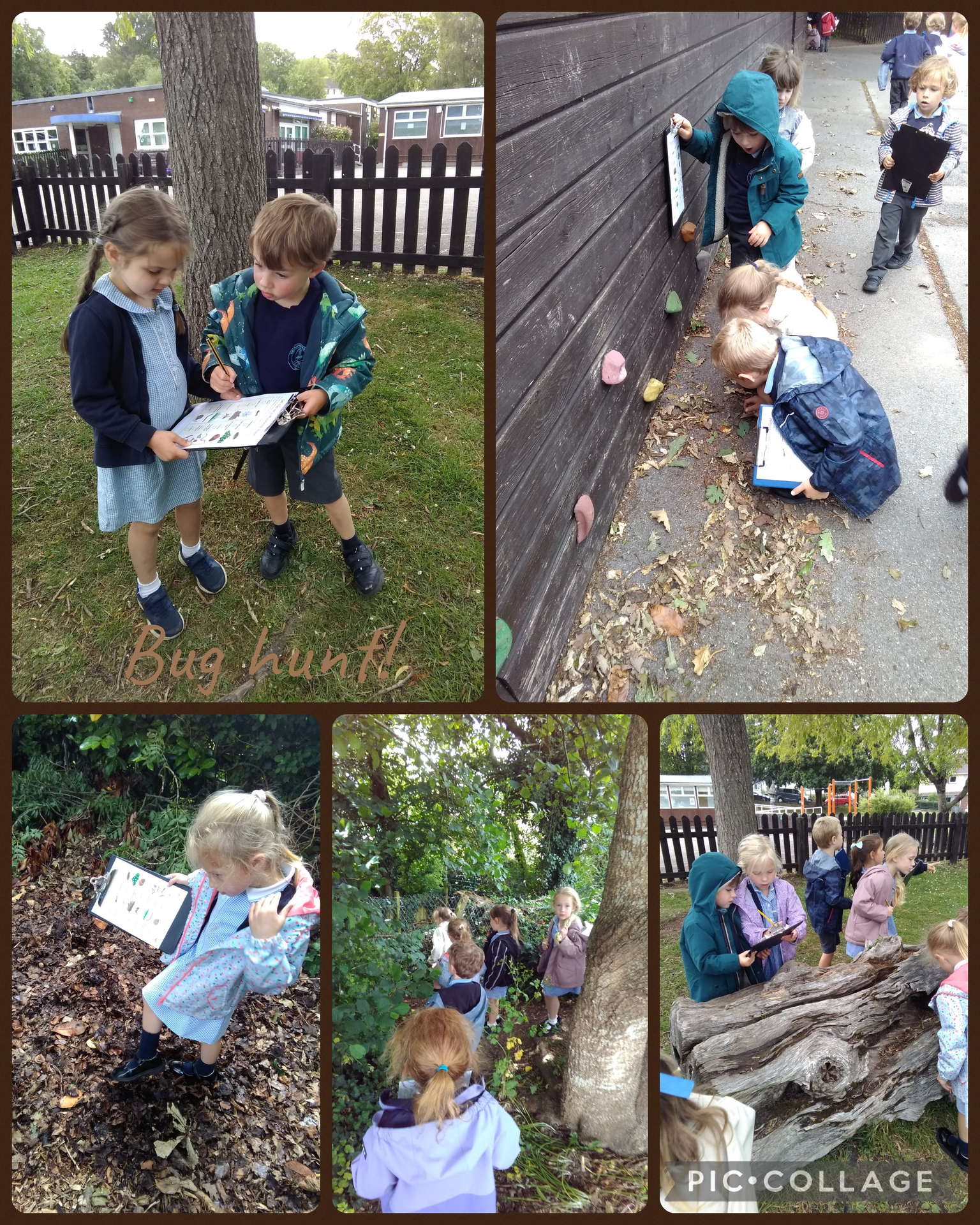 Minibeast Hunt!