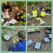 Forest School 7 - image 1 Forest School 7 - image 1
