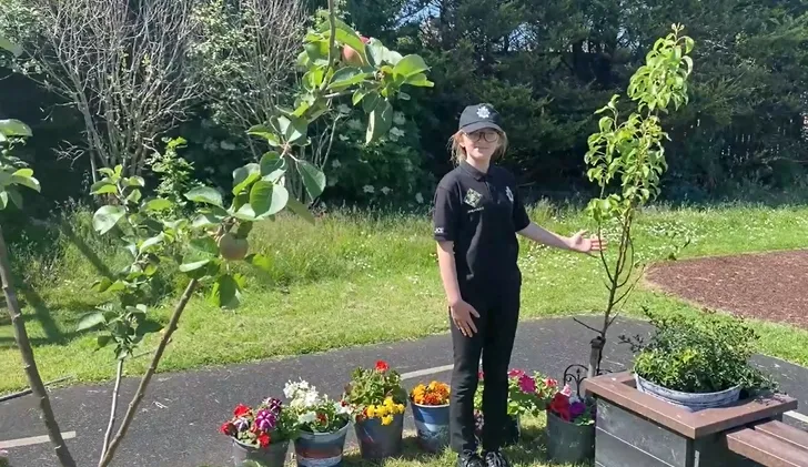 Gallery - created at 2023-03-24 15:06:35 - image 12