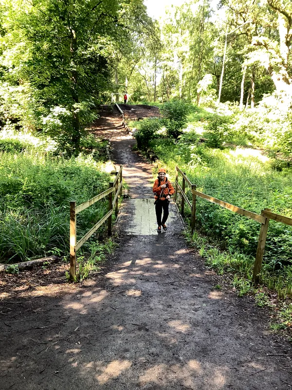 Youlbury 26 - Zipline - image 31