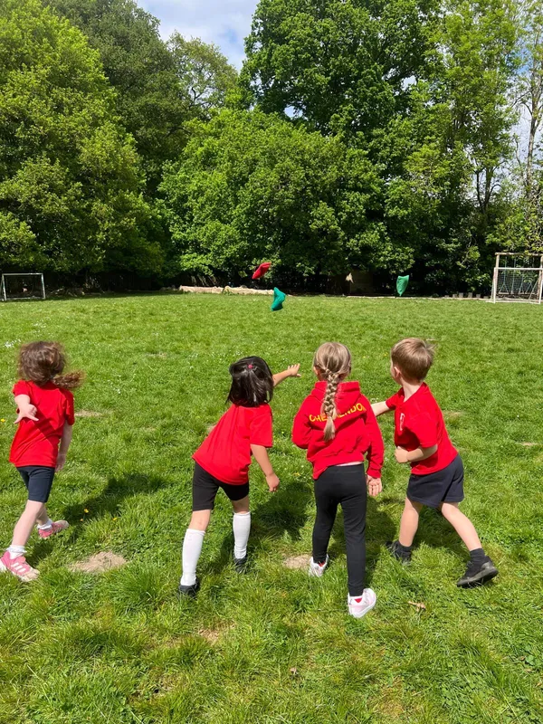 Gallery - created at 2025-05-17 14:55:55 - image 9