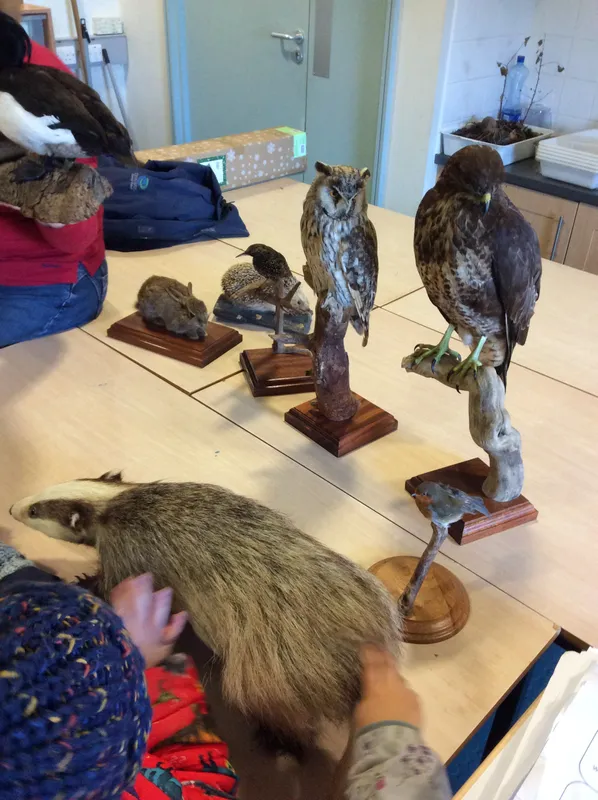 Gallery - created at 2018-11-13 21:17:58 - image 63 Gallery - created at 2018-11-13 21:17:58 - image 63