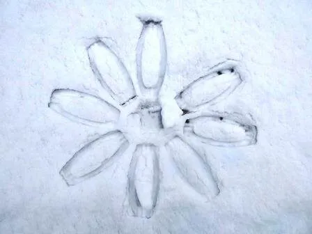 Gallery - created at 2024-02-07 14:35:06 - image 3