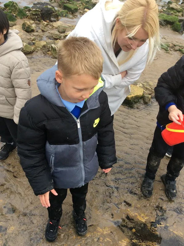 Gallery - created at 2024-05-23 10:29:28 - image 4