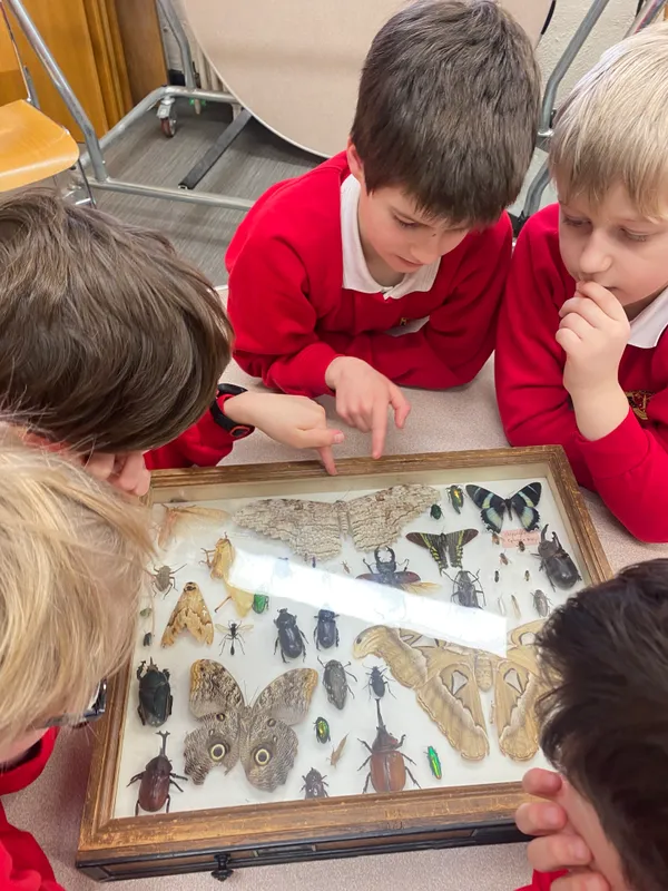 Gallery - created at 2024-01-16 20:24:51 - image 10 Gallery - created at 2024-01-16 20:24:51 - image 10