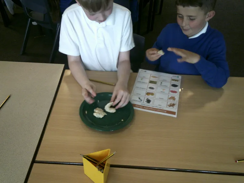 Y4 Roman Archaeology Workshop - image 40