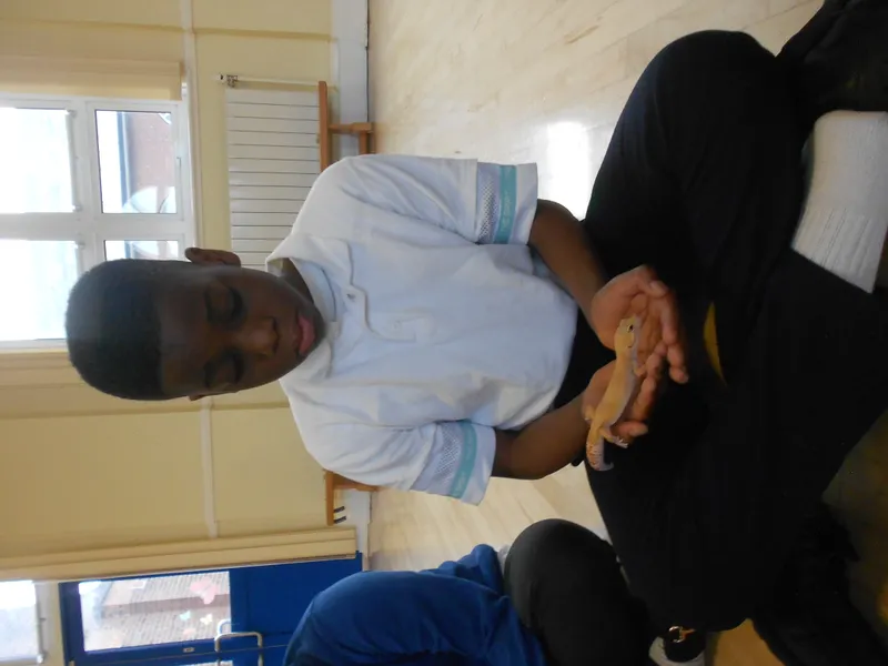 Y6 Reptile Rendezvous - image 36