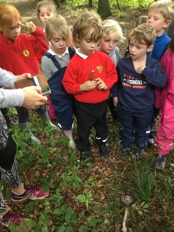 Gallery - created at 2022-10-03 16:37:54 - image 4