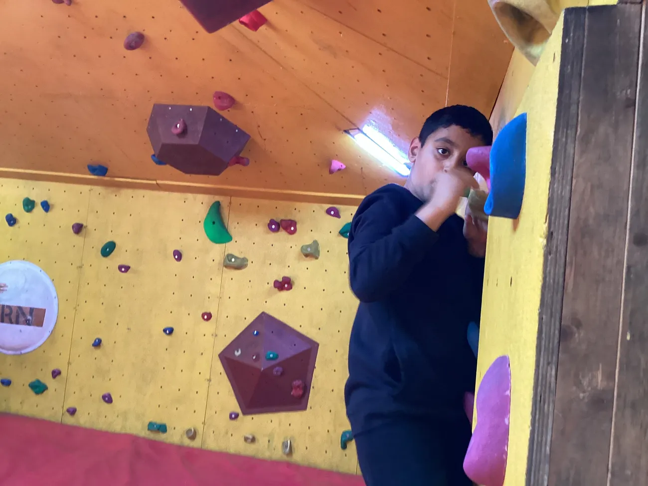 Gallery - created at 2024-09-19 18:43:06 - image 16 Gallery - created at 2024-09-19 18:43:06 - image 16