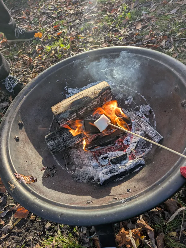 Gallery - created at 2025-11-13 15:34:26 - image 1