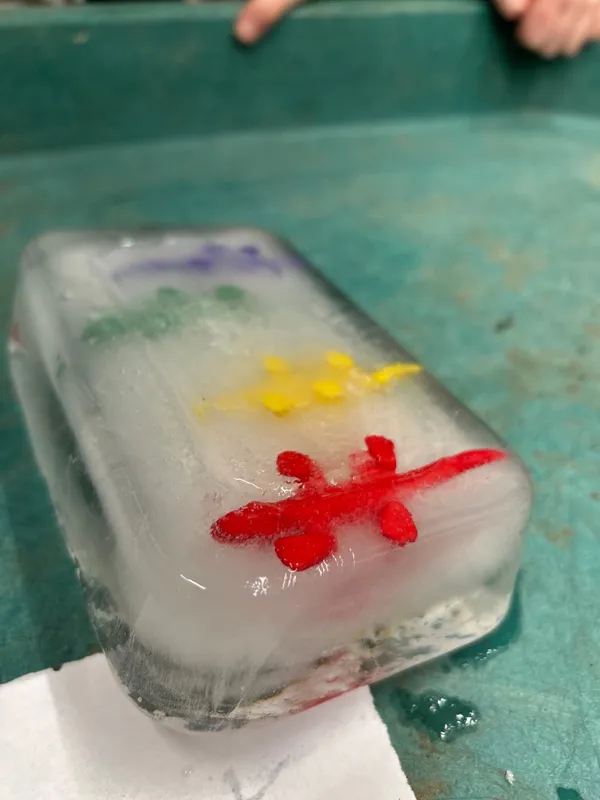 Gallery - created at 2025-01-31 12:35:23 - image 16