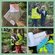 Forest School 10 - image 1 Forest School 10 - image 1