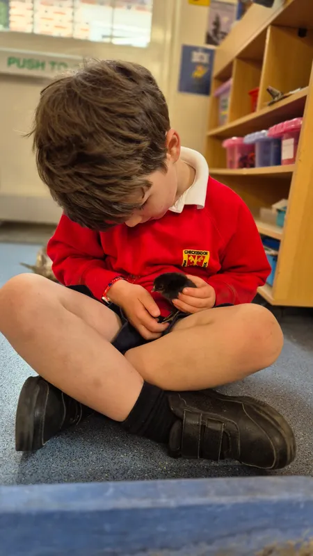 Gallery - created at 2025-05-17 14:55:55 - image 15