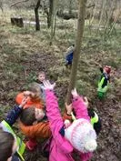 Forest School 113 - image 4 Forest School 113 - image 4