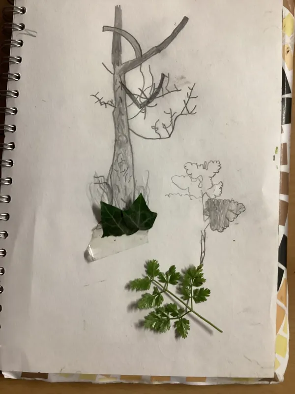 Forest Art  - image 4