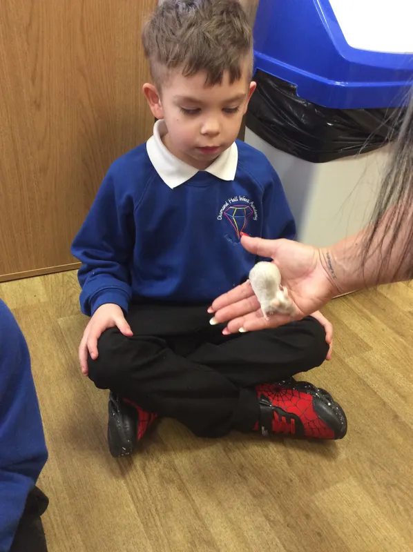 Gallery - created at 2024-03-05 13:52:56 - image 59 Gallery - created at 2024-03-05 13:52:56 - image 59