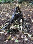 Forest School 145 - image 2 Forest School 145 - image 2