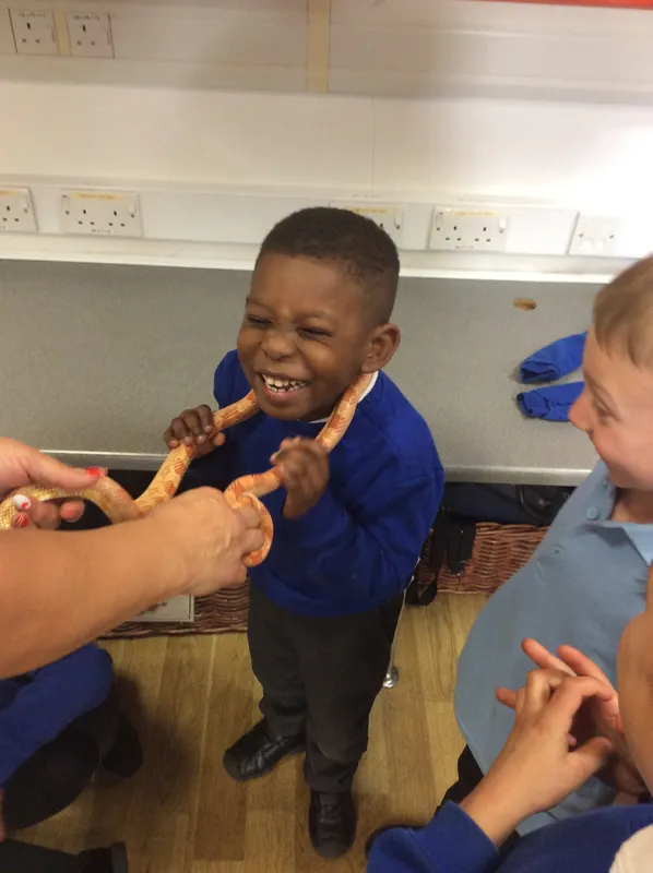 Gallery - created at 2024-03-05 13:52:56 - image 11 Gallery - created at 2024-03-05 13:52:56 - image 11