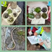 Forest School 8 - image 1 Forest School 8 - image 1