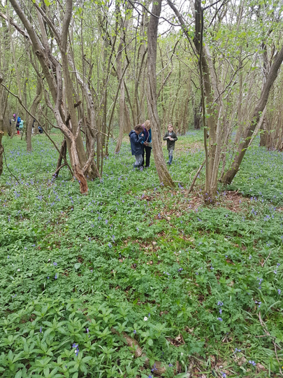20180424_113749.jpg