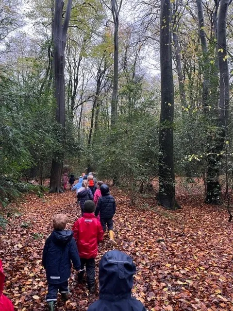 Gallery - created at 2022-11-21 16:44:48 - image 5