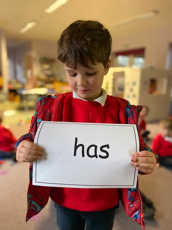 Gallery - created at 2025-01-31 18:29:51 - image 16