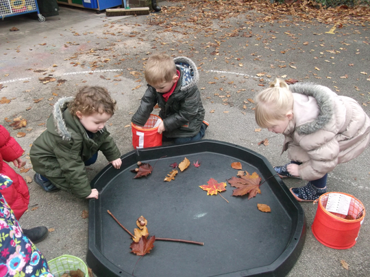 DSCF0136.JPG