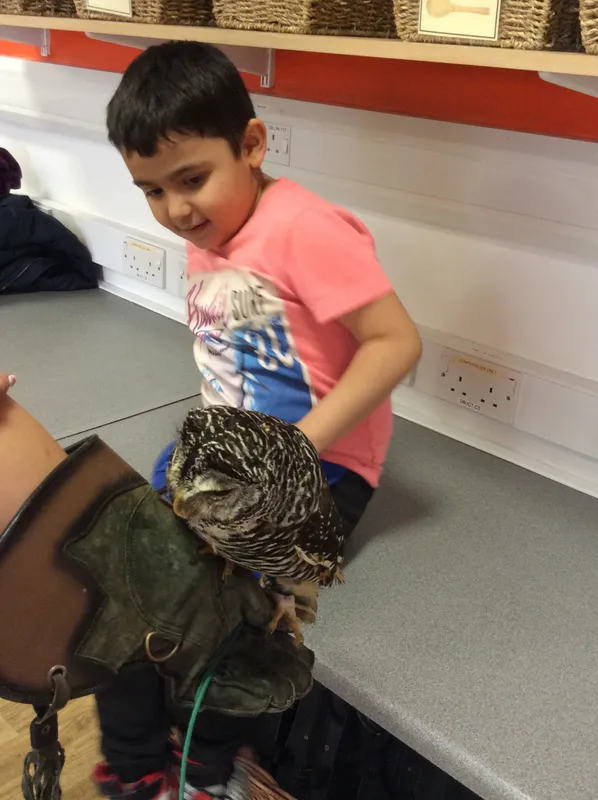 Gallery - created at 2024-02-26 17:15:57 - image 1 Gallery - created at 2024-02-26 17:15:57 - image 1