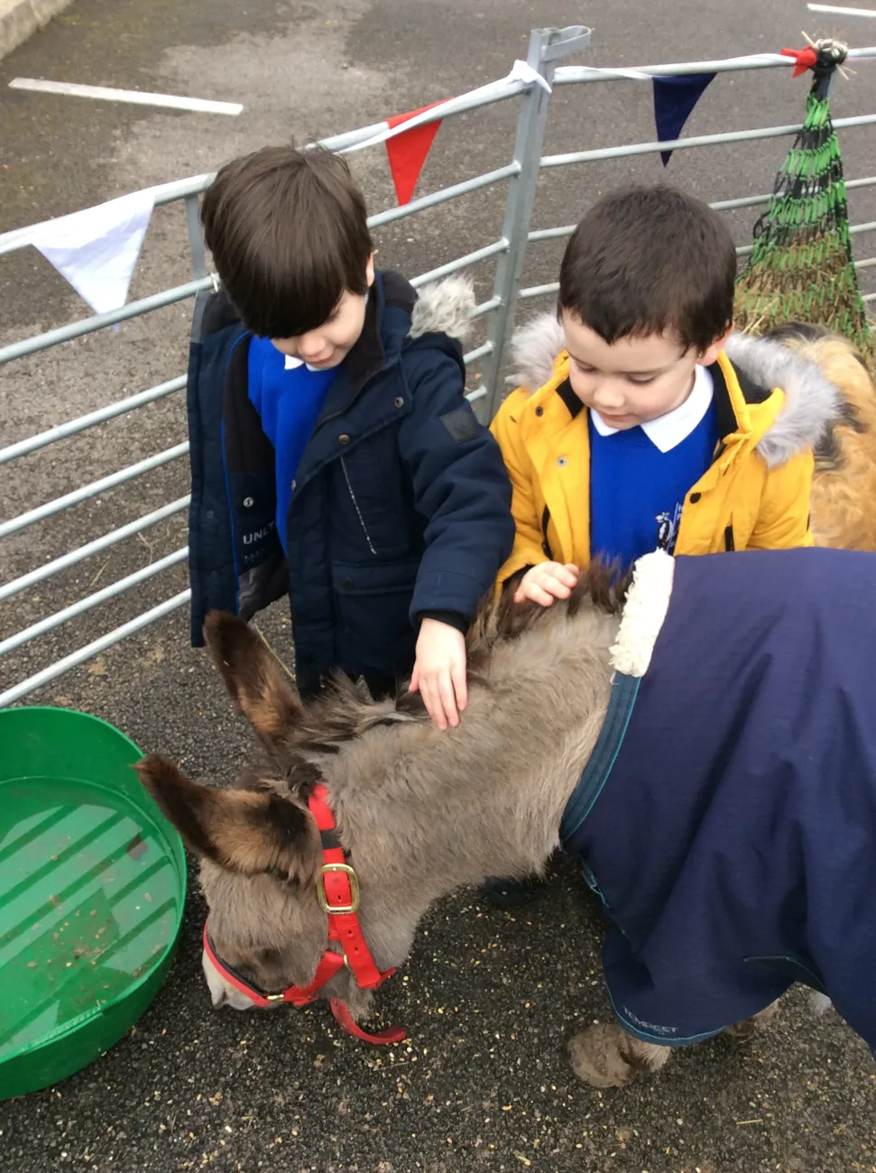 Gallery - created at 2022-03-04 13:11:52 - image 12