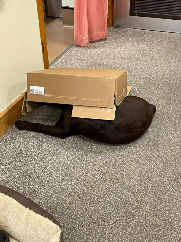 Gallery - created at 2021-06-30 13:57:57 - image 27