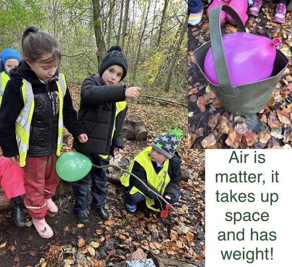 Autumn 2023 - 22nd November - Saplings - Matter - image 4 Autumn 2023 - 22nd November - Saplings - Matter - image 4