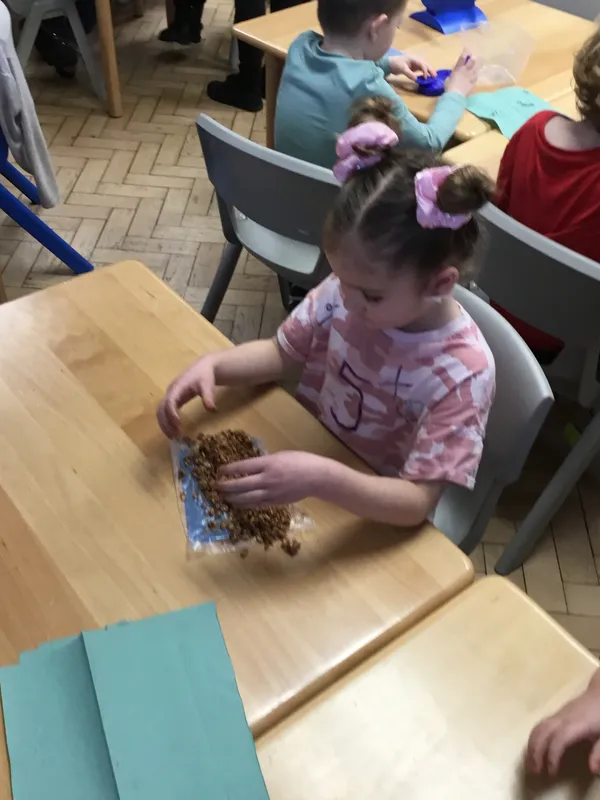 Gallery - created at 2024-03-01 11:02:20 - image 17 Gallery - created at 2024-03-01 11:02:20 - image 17